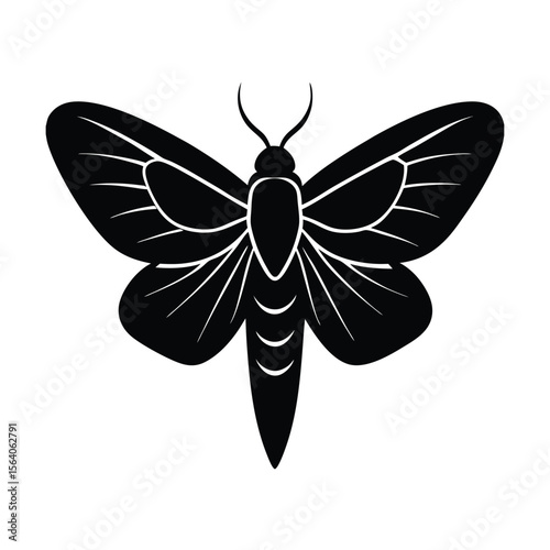 moth silhouette on white background