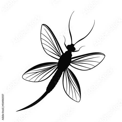 mayfly silhouette vector