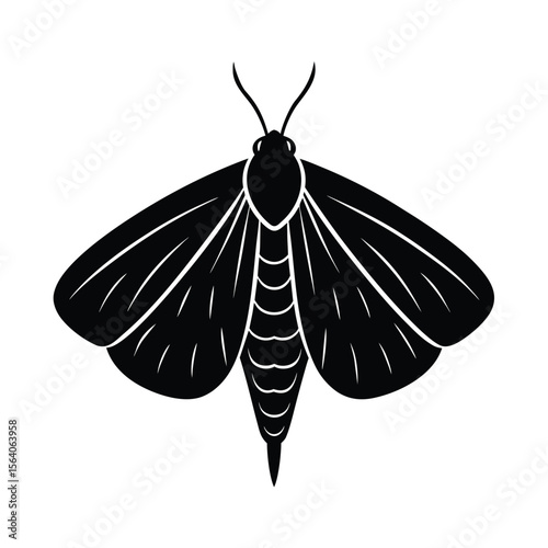 gypsy moth silhouette vector