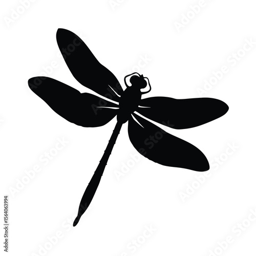 dragonfly on white background