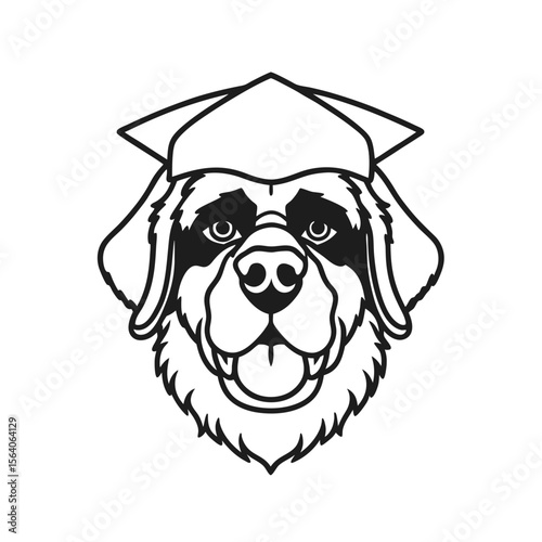 Decent saint bernard dog, dog face vector line art illustration