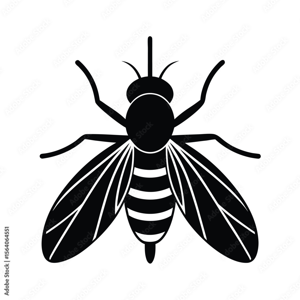 Fototapeta premium fly silhouette vector