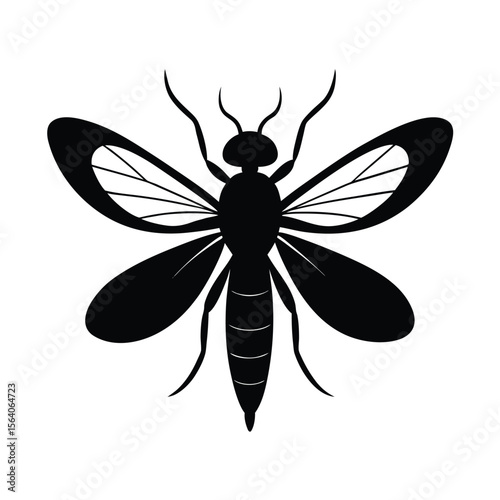  fairyfly insect vector