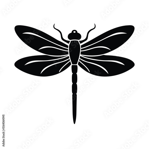 dragonfly vector illustration