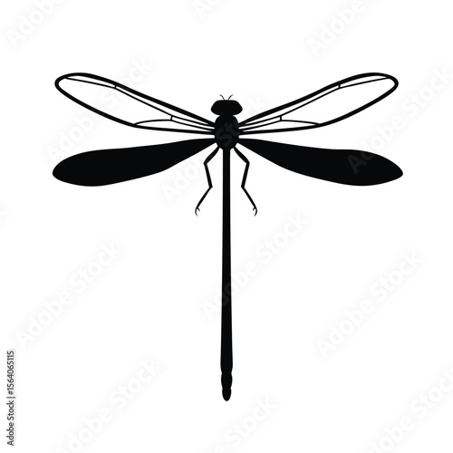 damselfly silhouette vector illustration