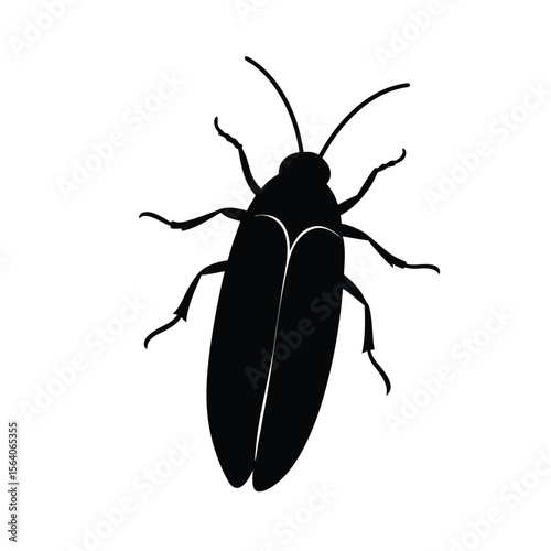 click beetle silhouette vector