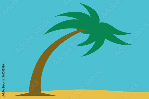 palm tree on the beach