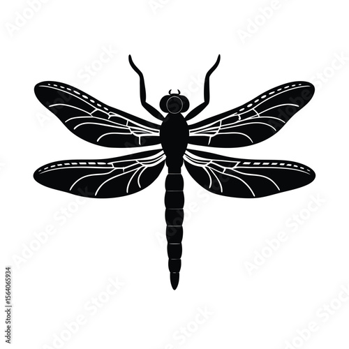 broad bodied chaser silhouette vector