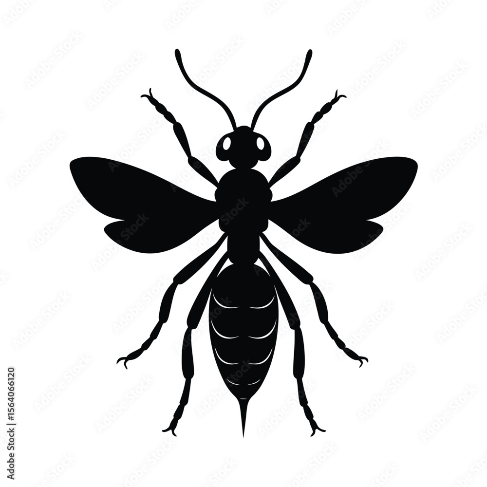 Fototapeta premium braconid wasp vector