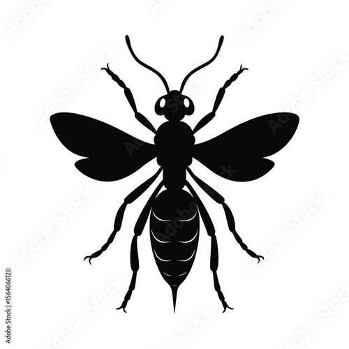 braconid wasp vector