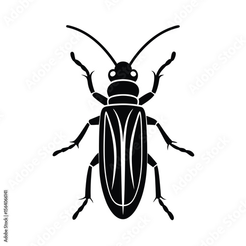 blister beetle silhouette vector