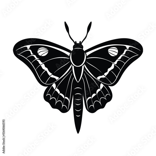 atlas moth silhouette vector
