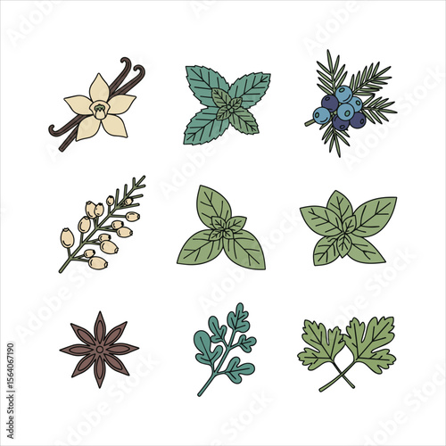 Collection of nine stylized herbs and spices isolated on white background Art & Illustration