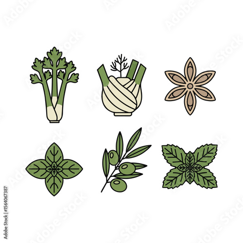Collection of six culinary herbs and spices illustrated isolated on white background Art & Illustration