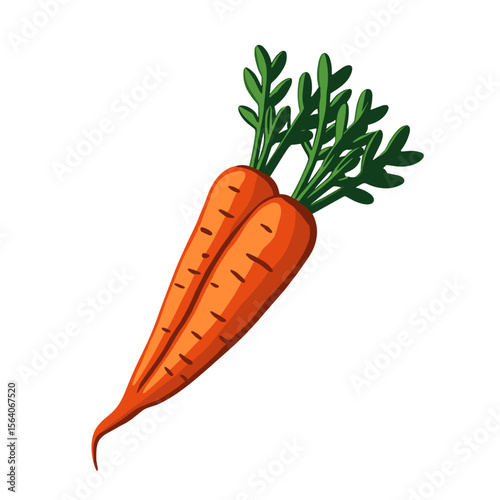 Fresh carrots with leafy tops, healthy vegetable nutrition