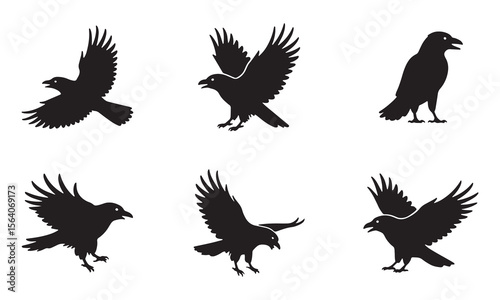 Crow silhouette vector collection flying and standing bird black illustration