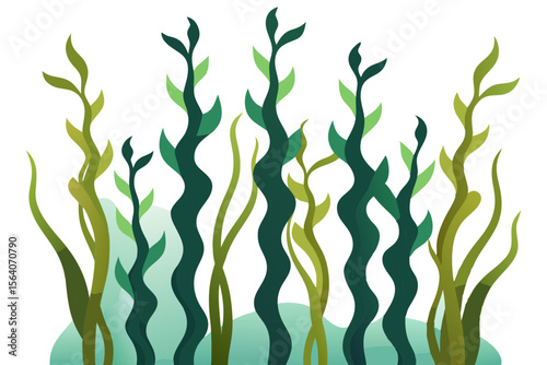 Underwater Kelp Garden with Tall Leafy Seaweed Illustration