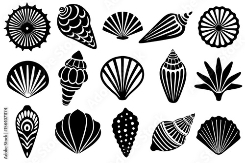 Seashell Types Vector Art with Detailed Design Collection