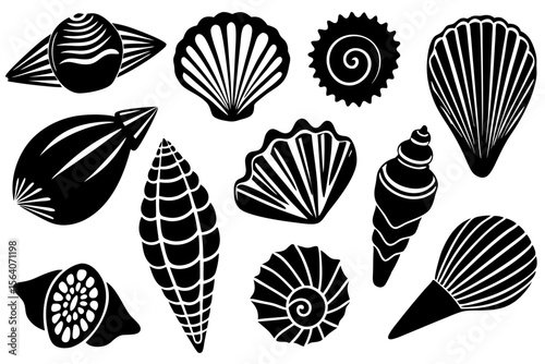 Marine Shell Vector Set Featuring Patterned Sea Shells