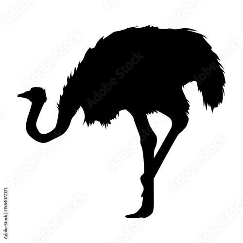 Dynamic Black and White Ostrich Bird Vector Art for Digital and Print Media, Clean Isolated Design