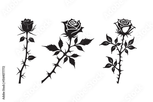 Silhouette roses with thorns and leaves on white background