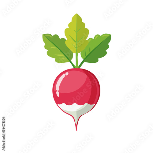 Radish Food Icon Isolated on a Transparent Background 