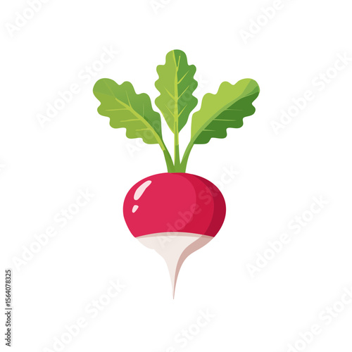 Radish Food Icon Isolated on a Transparent Background 