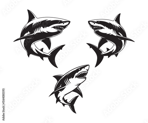 Three aggressive black and white sharks with open mouths and sharp teeth in a circular pattern
