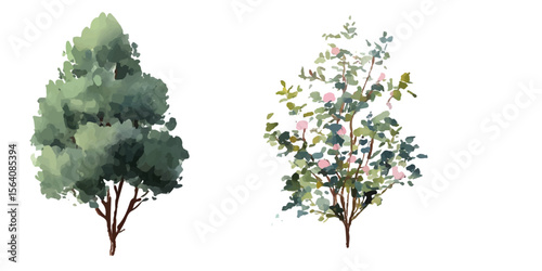 bush of flowers on white background. Bush tree flower of bougainvillea on isolated transparent background	