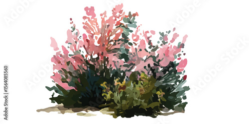 bush of flowers on white background. Bush tree flower of bougainvillea on isolated transparent background	