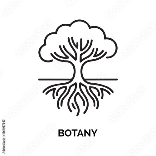 Black Line Art Tree with Roots Botany Illustration