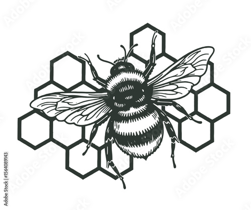 Detailed Illustration of a Bee on a Honeycomb Pattern Background