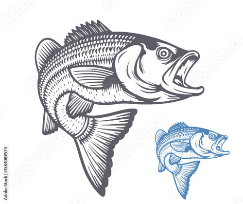 Detailed Vector Illustration of a Largemouth Bass with Open Mouth and Fins