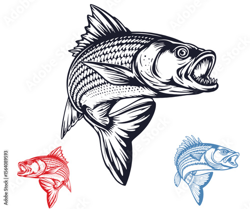 Angry Fish Vector Illustration in Black Red and Blue on White Background
