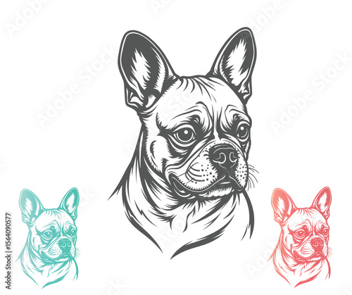 Detailed French Bulldog Head Illustration with Color Variations on White Background