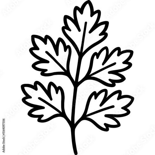 Parsley sprig outline icon vector