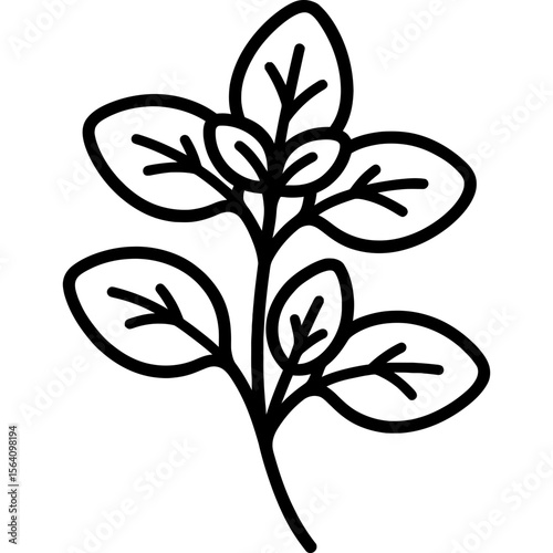 Oregano leaves outline icon vector