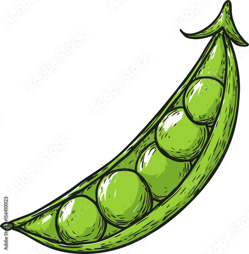 Illustration of a vibrant green pea pod with peas, art style. Vector illustration in sketch style