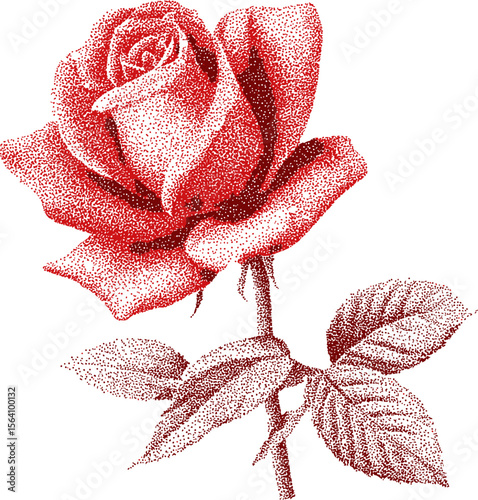 Red rose in dotwork style showcasing intricate details and artistry. Vector illustration in sketch style