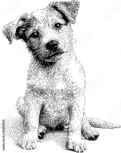 Detailed black and white stipple drawing of a curious puppy sitting. Vector illustration in sketch style
