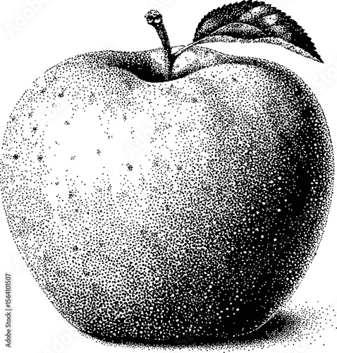 Detailed black and white stipple illustration of an apple with leaf. Vector illustration