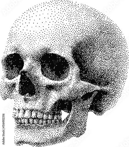 Dotwork illustration of a human skull in black and white with artistic detail. Vector illustration in pointillism style