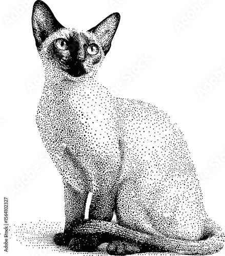 Black and white illustration of a siamese cat with detailed dot shading. Vector illustration in pointillism style