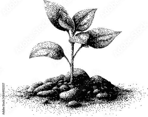 Sprouting plant in soil illustrated in black and white ink pointillism. Vector illustration