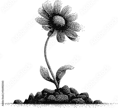 Black and white stipple art of a single daisy flower growing from rocky soil. Vector illustration in pointillism style