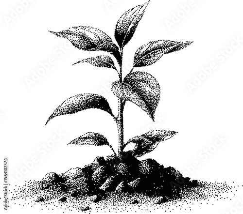 Young plant growing from soil in detailed black and white pointillism art style. Vector illustration