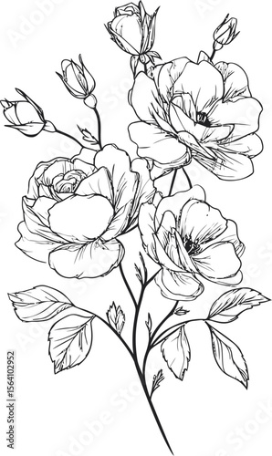Black and white line art of blooming roses with leaves and buds. Vector illustration in sketch style