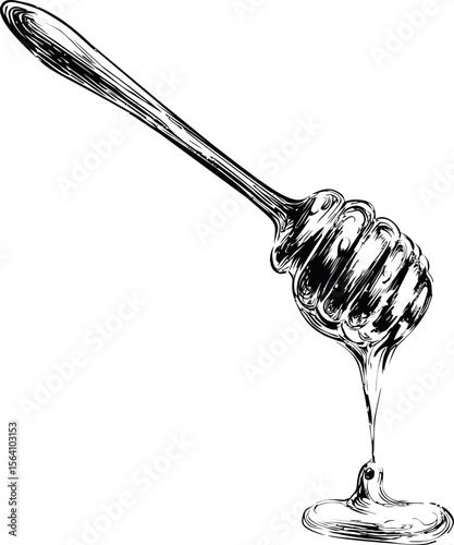 Honey dripper dripping sweet honey in detailed black and white sketch. Vector illustration