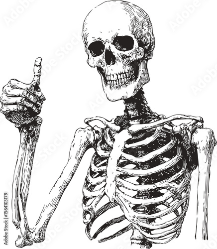 Skeleton giving a thumbs up, monochrome detailed illustration, concept of approval. Vector illustration in sketch style