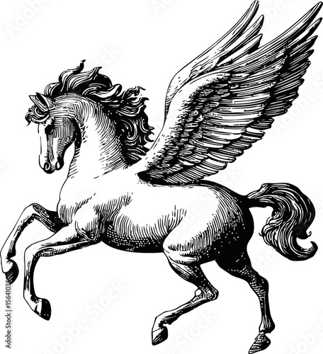 Black and white drawing of a majestic winged horse in mid-flight, fantasy creature. Vector illustration in sketch style
